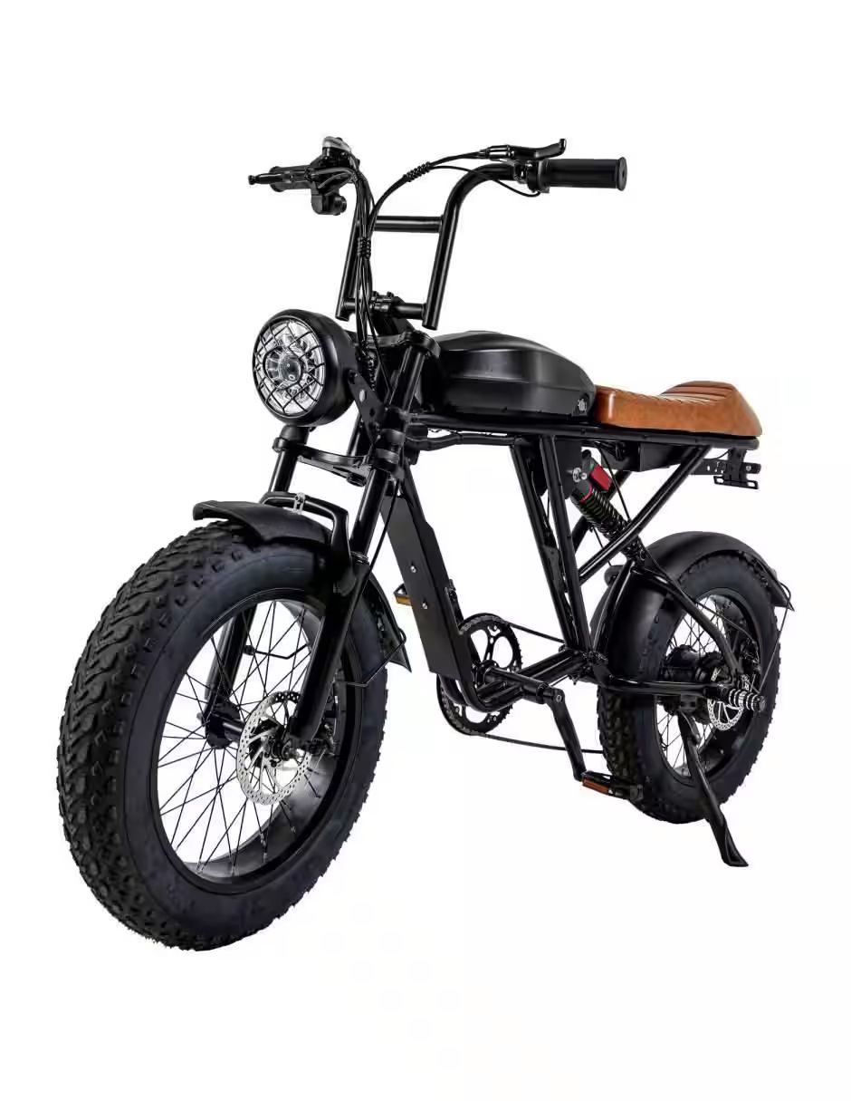 Premium Electric Bicycle